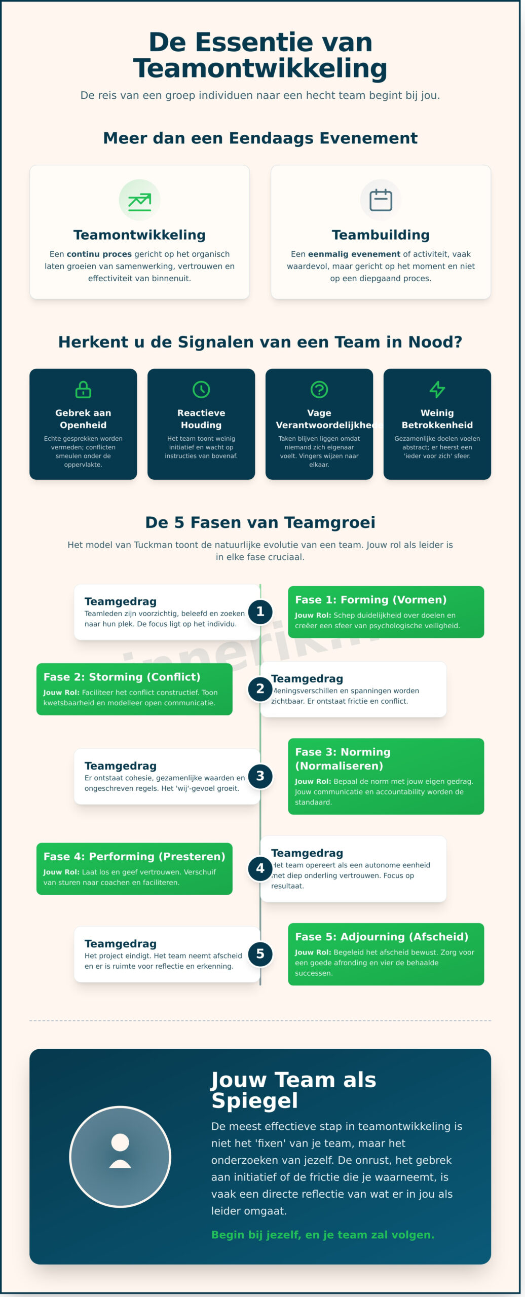 Wat is teamontwikkeling? De essentiële gids voor ondernemers - Infographic